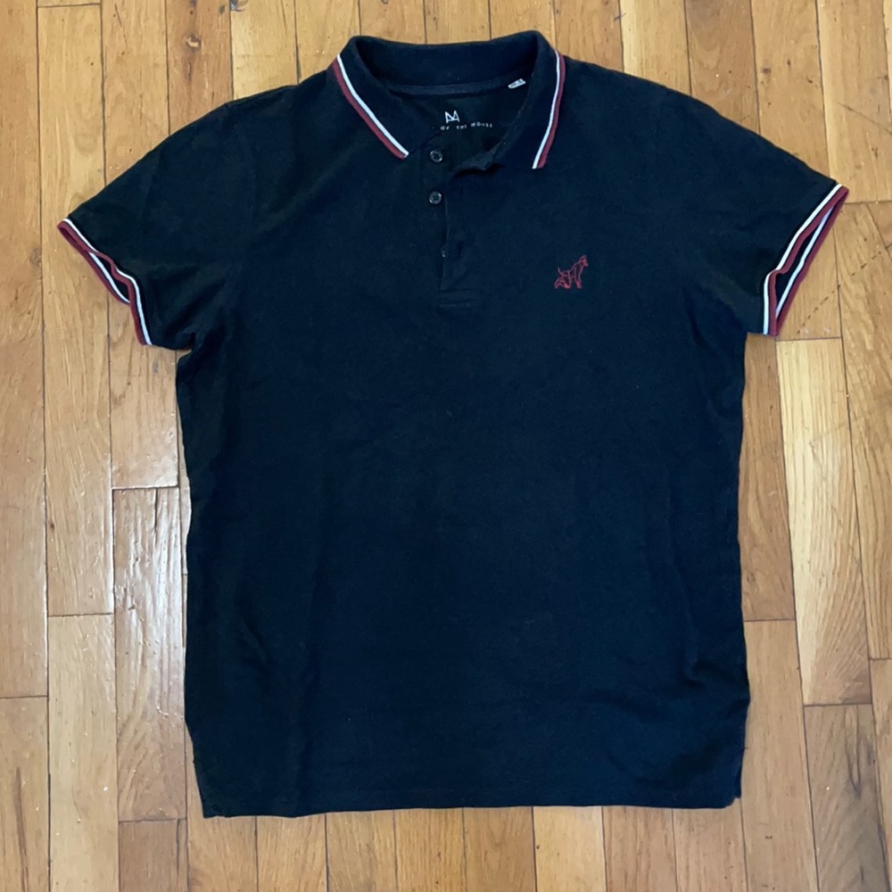 Master of the house polo